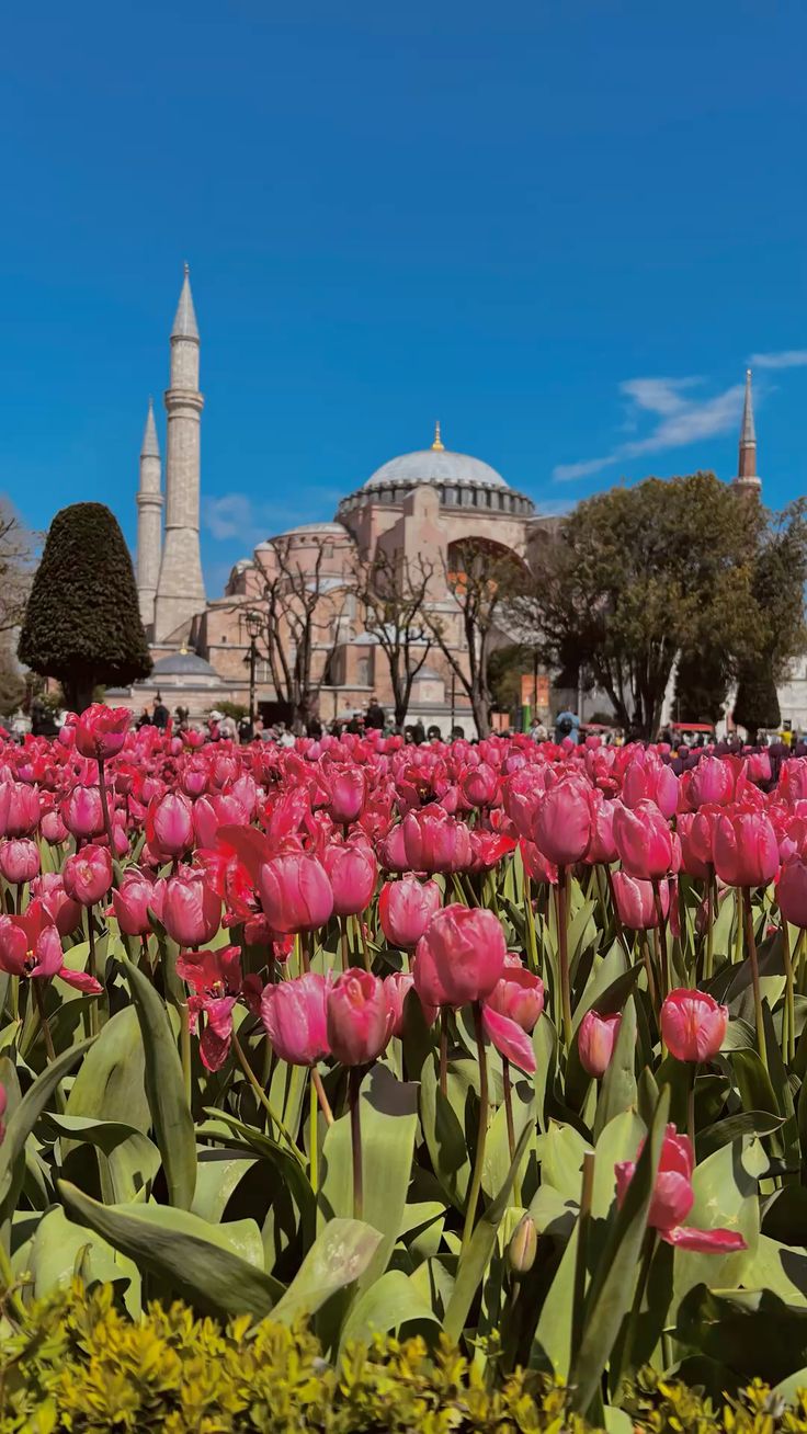 Turkey Tulip Festival